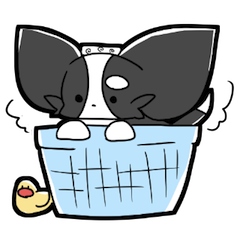 [LINEスタンプ] おじろ家の日常。の画像（メイン）