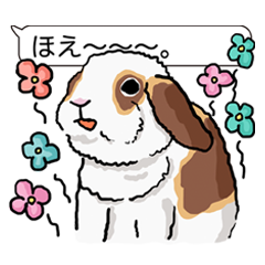 [LINEスタンプ] あいづちふきだしロップイヤーうさぎさん