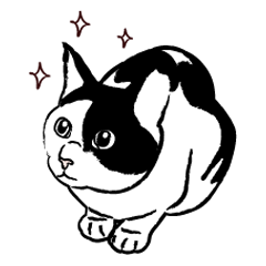 [LINEスタンプ] 猫である。