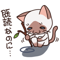 [LINEスタンプ] かまってシャムちゃんの画像（メイン）