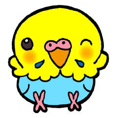 [LINEスタンプ] かわいんこ（セキセイインコ）