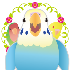 [LINEスタンプ] カラフルインコちゃんの画像（メイン）