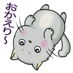 [LINEスタンプ] ポッチャリ にゃんこ