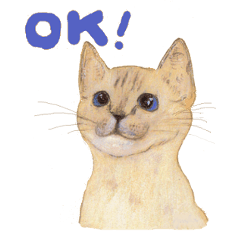 [LINEスタンプ] 猫スタンプー猫心地でいこう！