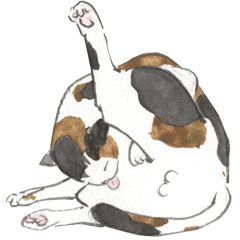 [LINEスタンプ] ねこ暮らし