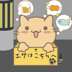 [LINEスタンプ] 野良猫フウの日常生活の画像（メイン）