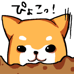 [LINEスタンプ] 犬日和。