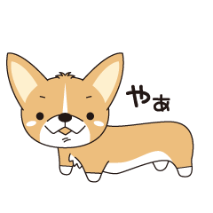 [LINEスタンプ] がんばれ！！コーギー