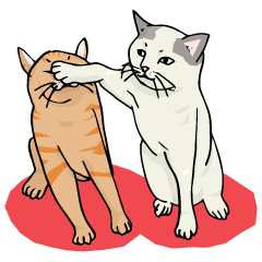 [LINEスタンプ] Cute ＆ Strange Animals  in Daily Life