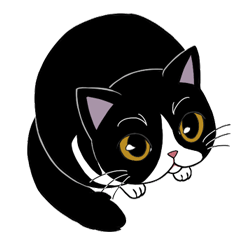 [LINEスタンプ] パンダねこのミンクちゃん(日本語版)の画像（メイン）