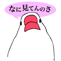 [LINEスタンプ] 小生意気な文鳥たちの画像（メイン）