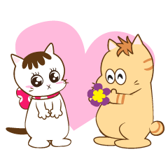 [LINEスタンプ] Amazing cats あめねこ