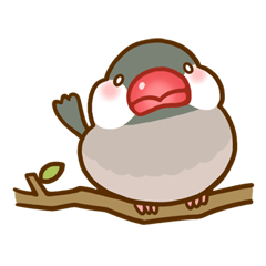 [LINEスタンプ] ぷくぷく文鳥の画像（メイン）