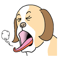 [LINEスタンプ] ザ・犬