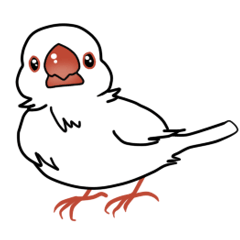 [LINEスタンプ] まいにち文鳥の画像（メイン）