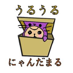 [LINEスタンプ] うるうるにゃんだまる！