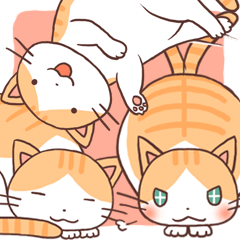 [LINEスタンプ] 茶トラ猫スタンプ