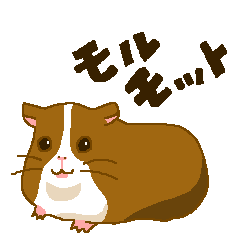 [LINEスタンプ] モルモット