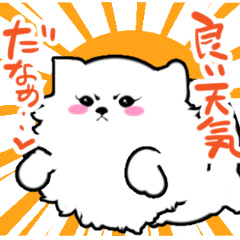 [LINEスタンプ] 白ポメの画像（メイン）