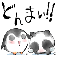 [LINEスタンプ] ぺんぎんぱんだ【ちぅ＆まぉ】の画像（メイン）