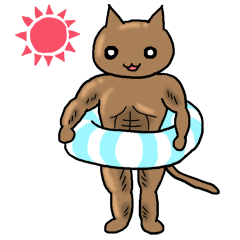 [LINEスタンプ] マッチョねこ 夏 <2nd Collection>