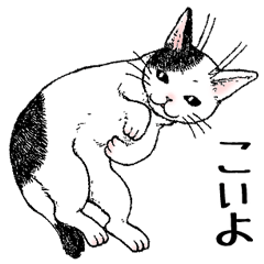 [LINEスタンプ] ブチねこブチの画像（メイン）