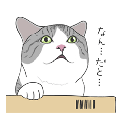 [LINEスタンプ] かわいいねこの画像（メイン）