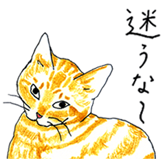 [LINEスタンプ] 続／茶とら猫・ことちゃんの画像（メイン）