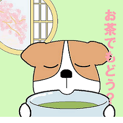 [LINEスタンプ] わんわんワンダフルの画像（メイン）