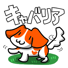 [LINEスタンプ] かわいいワンコ（キャバリア）のスタンプ♥