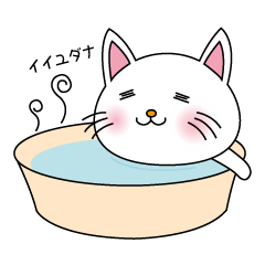 [LINEスタンプ] しろねこちゃんの画像（メイン）