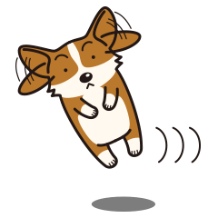 [LINEスタンプ] 犬種別スタンプ⑨ コーギー