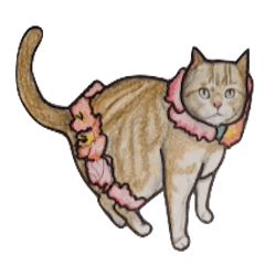 [LINEスタンプ] ねこのすたんぷ