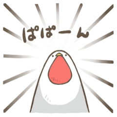 [LINEスタンプ] こっこ。