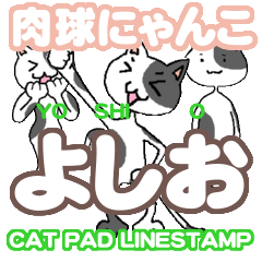 [LINEスタンプ] 肉球にゃんこ「よしお」