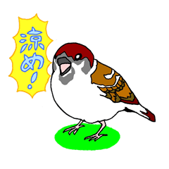 [LINEスタンプ] トリまみれ！だじゃれ鳥スタンプの画像（メイン）