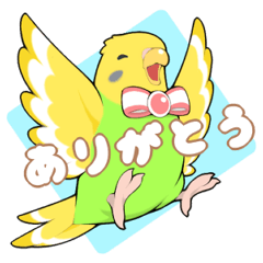 [LINEスタンプ] インコびよりの画像（メイン）