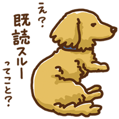 [LINEスタンプ] 続・愛犬かるびの事情の画像（メイン）