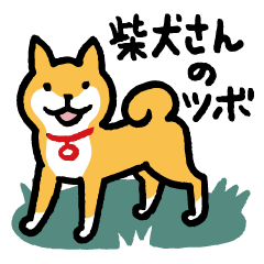 [LINEスタンプ] 柴犬さんのツボ vol.1の画像（メイン）