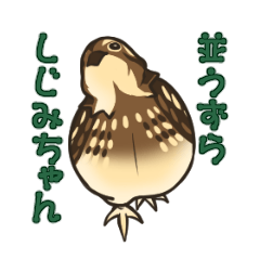 [LINEスタンプ] 並うずら しじみちゃん