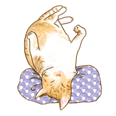 [LINEスタンプ] Oh, my cats！ リアルな和ねこ達スタンプの画像（メイン）