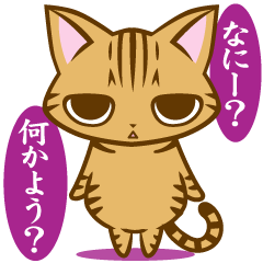 [LINEスタンプ] 根暗ちゃとらねこ