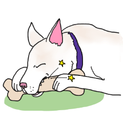 [LINEスタンプ] 頑張れ、くにお！