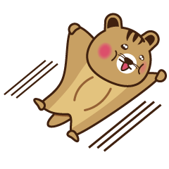 [LINEスタンプ] ムササビちゃんの画像（メイン）