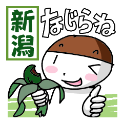 [LINEスタンプ] 新潟市周辺の思わず笑っちゃう方言スタンプ