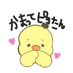 [LINEスタンプ] かまって★ピヨたんの画像（メイン）