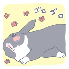 [LINEスタンプ] 黒ウサギのんちゃん