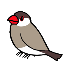 [LINEスタンプ] "文鳥の日常" 鳥さんと一緒02の画像（メイン）