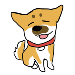 [LINEスタンプ] 雑種系わんこの日常スタンプ