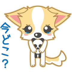 [LINEスタンプ] 甘えん坊チワワン スタンプの画像（メイン）